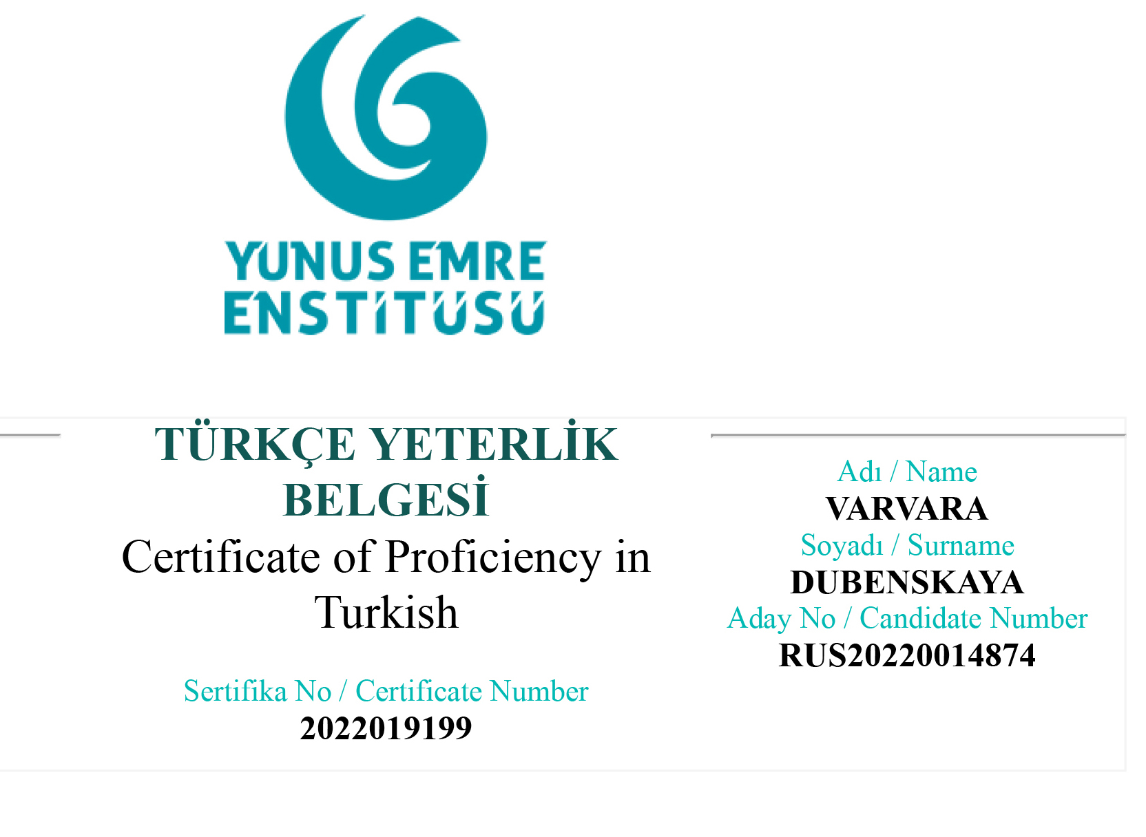 сертификат по турецкому